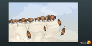illustration info card buffalos jumping off cliff