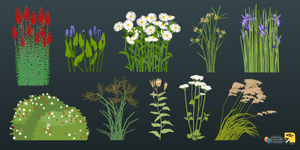 illinois plants