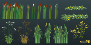 illinois plants