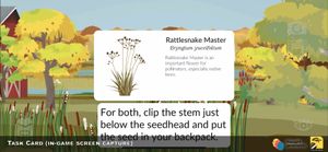 rattlesnake master