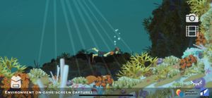 coral reef