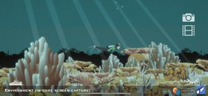 dead reef corals