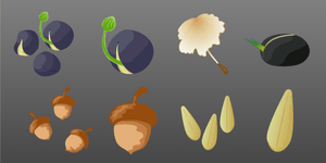 asset seeds